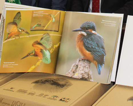 El libro ‘Marismas del Odiel. Reserva de luz y alma’ muestra 272 fotos del paraje
