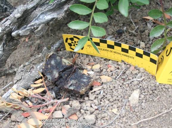 Buscan al autor de colocar cebos con veneno para matar animales
