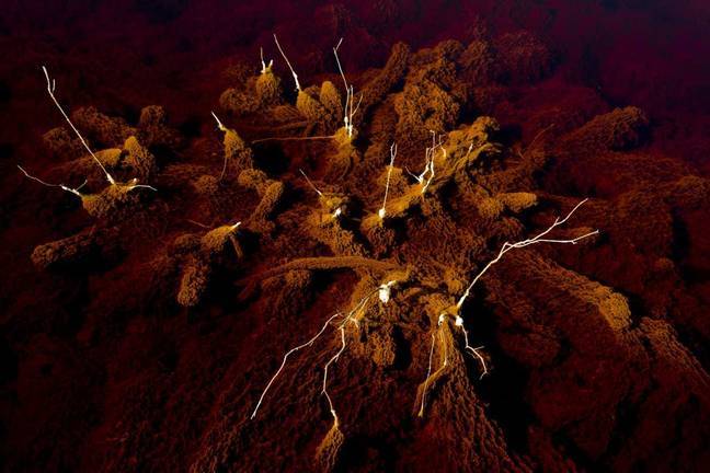 Las increíbles fotografías del río Tinto y su parecido con Marte
