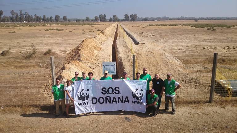 Una sentencia del TSJA tumba el proyecto para almacenar Gas Natural en Doñana