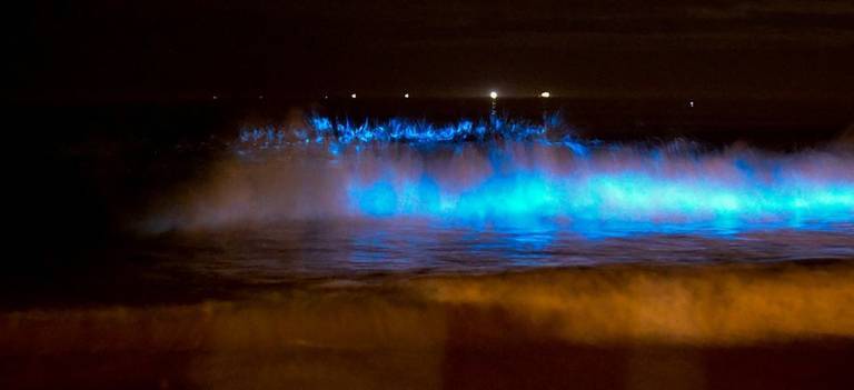 Espectáculo nocturno de las ‘luces fantasmas’ del mar en Mazagón