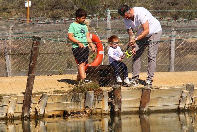 Salinas del Astur roza las 8.000 visitas en 2019 pese al cierre en el primer trimestre