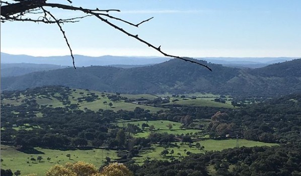 Ecologistas en Acción presenta alegaciones a la Junta por la Sierra de Aracena y Picos de Aroche