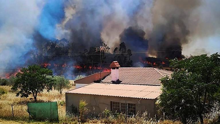 Inaudito: El primer incendio forestal de 2020 en febrero y en La Palma del Condado