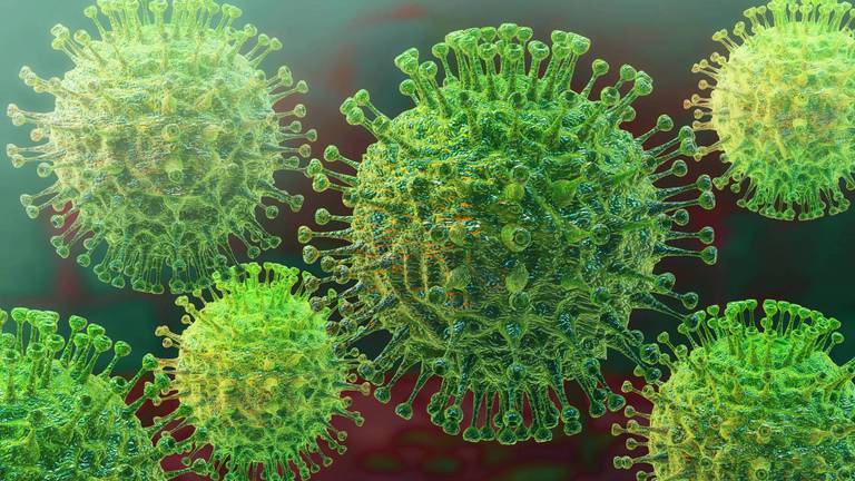 La peculiar protección contra el coronavirus en un bazar chino de Punta Umbría
