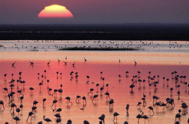 Doñana, el Club Onubense de Deportes Adaptados y Javier Perianes, Medallas de la Universidad