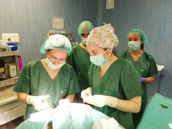 El Infanta Elena resuelve más de 900 estudios de Teledermatología y detecta un centenar de lesiones cancerosas