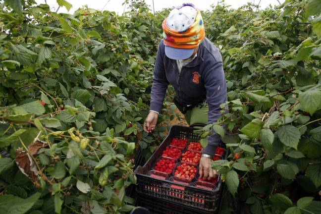 Cs destaca su compromiso para proteger a los agricultores de la competencia desleal