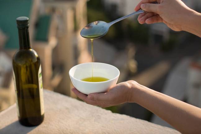 Organizan catas de aceite en Huelva para mejorar la calidad del producto