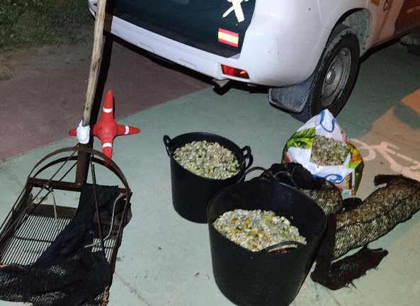 Incautados y devueltos al mar 250 kilos de coquinas en Ayamonte