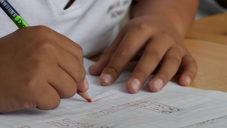 Cs destaca su apuesta por la Educación Especial frente al “ataque frontal” de la Ley Celaá
