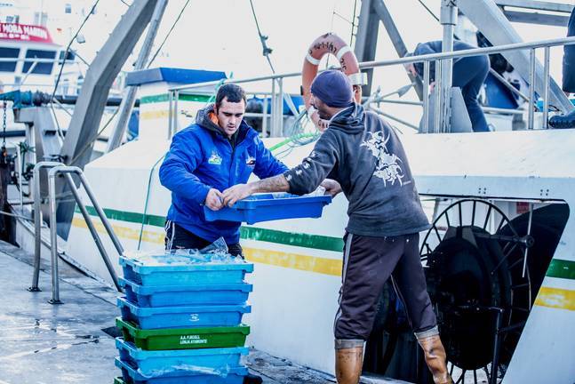 La lonja de Ayamonte hará las subastas de pescado solo de forma ‘online’