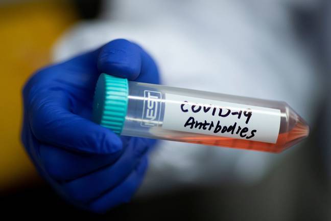 14 contagiados por coronavirus en Huelva ingresan en la UCI en las últimas 24 horas