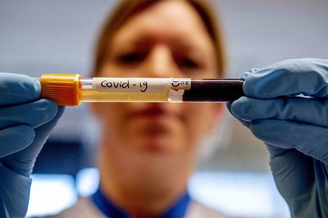 Cara y cruz en los datos de Huelva: 13 nuevos contagios y ninguna hospitalización ni muerte