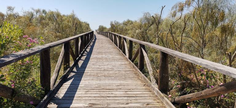 ¿A qué playas de Huelva se podrá ir desde este lunes y con qué medidas? 1 ¿A qué playas de Huelva se podrá ir desde este lunes y con qué medidas?