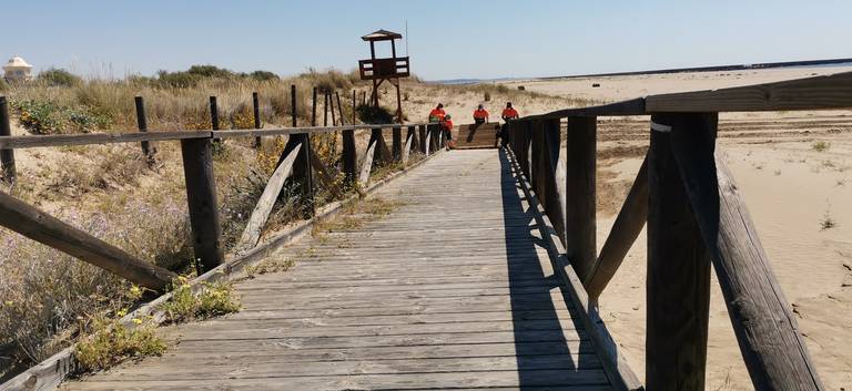 ¿Permitirán los municipios costeros el baño en sus playas aunque el BOE lo autorice? 1 ¿Permitirán los municipios costeros el baño en sus playas aunque el BOE lo autorice?