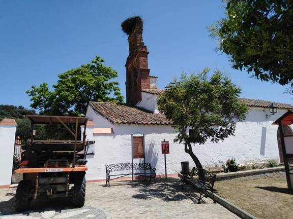 El Ayuntamiento de La Nava realiza tareas de adecentamiento en el municipio
