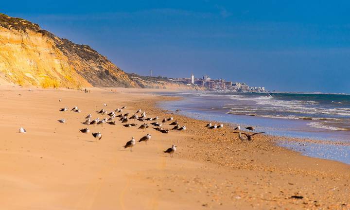 Tres playas de Huelva, entre las más grandes de España "para facilitar el distanciamiento social" 3 Tres playas de Huelva, entre las más grandes de España "para facilitar el distanciamiento social"