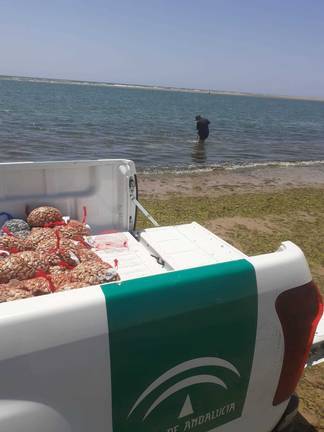 Cierran tres centros de expedición de moluscos en Isla Cristina 1 Cierran tres centros de expedición de moluscos en Isla Cristina