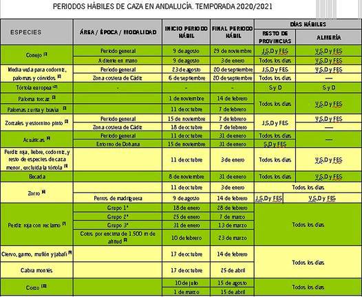 Estas son las fechas para cazar en Huelva en la temporada 2020-2021