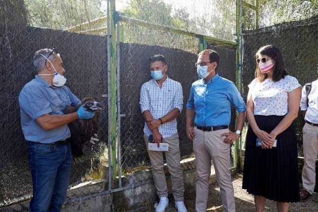 Huelva exporta a Francia sus buitres para garantizar allí la conservación de la especie