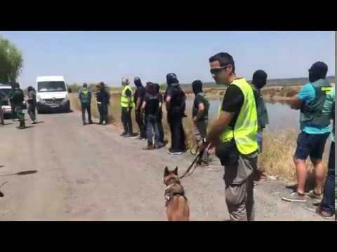 Comienza el desfile judicial de los 30 detenidos en la ‘Operación Colón’ contra el narcotráfico