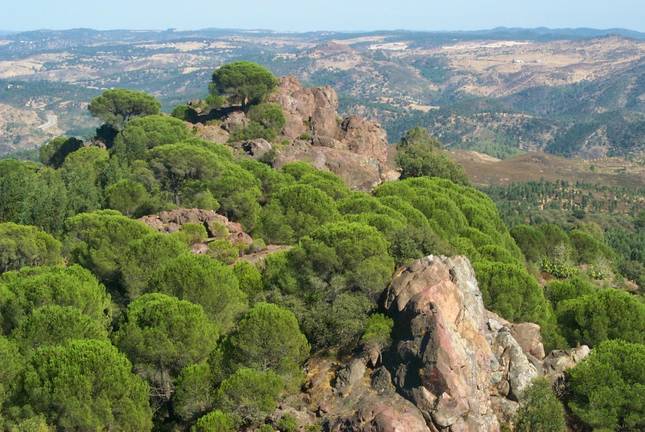 Huelva ya dispone de la primera Agrupación de Defensa Forestal supramunicipal