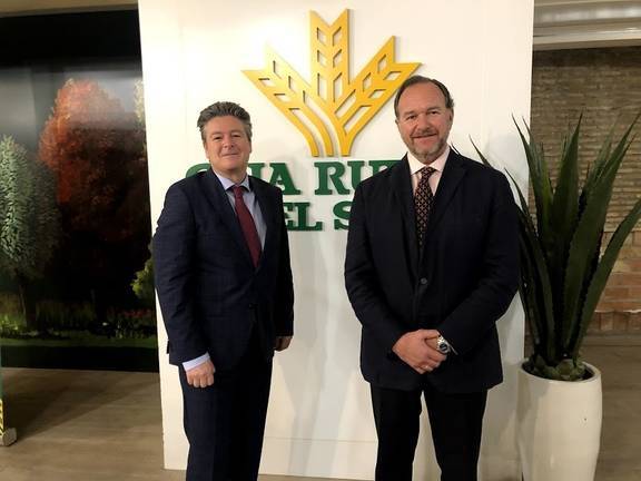 La agencia Fitch Ratings consolida la calificación de Caja Rural del Sur en BBB+