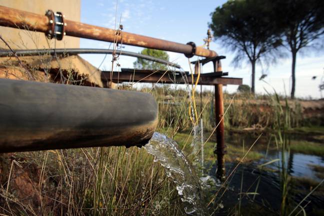 La superficie de cultivo que no se puede legalizar en Doñana alcanza ya las 1.653 hectáreas