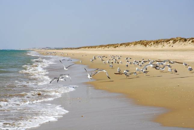 Las cinco playas menos masificadas de Huelva