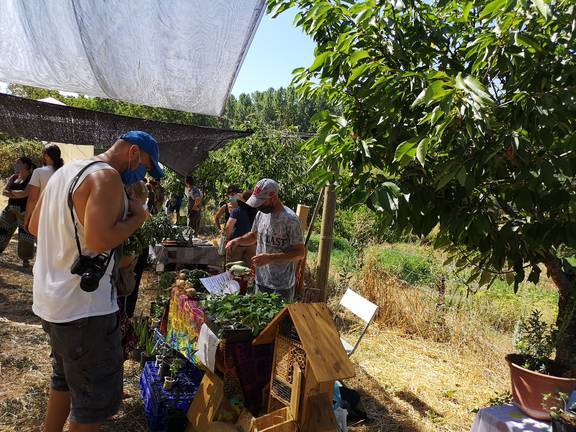 La asociación ‘Pies en la Tierra’ organiza nuevos mercados agrícolas en la Sierra 1 La asociación ‘Pies en la Tierra’ organiza nuevos mercados agrícolas en la Sierra
