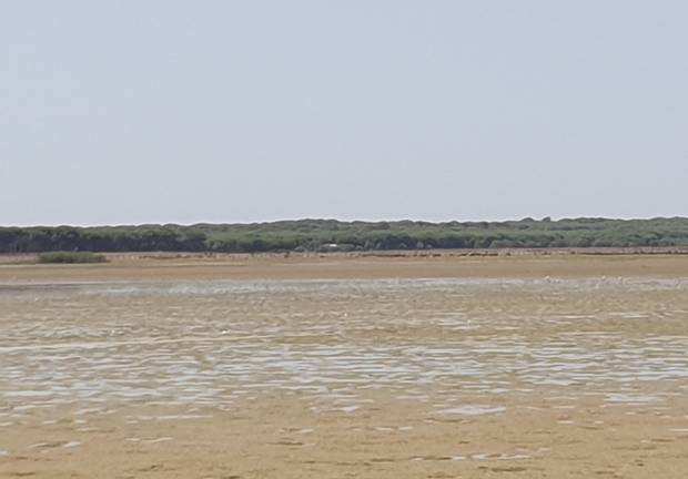 Doñana seca laguna