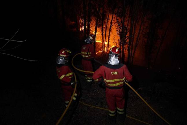 Grandes masas de eucaliptos alimentan un fuego que lleva ardiendo cinco días 5 Grandes masas de eucaliptos alimentan un fuego que lleva ardiendo cinco días