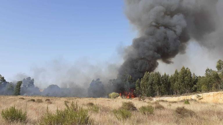 Controlado el incendio de Rociana, en el entorno de Doñana