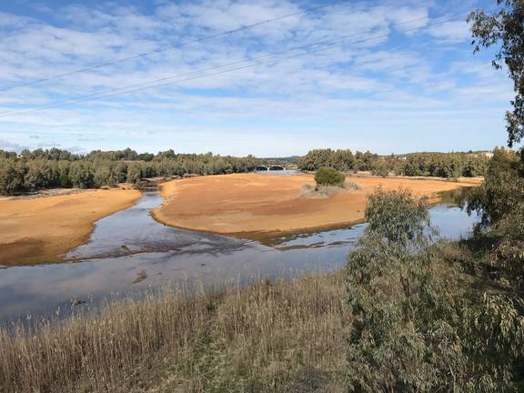 Comienzan los trámites para la licitación del itinerario paisajístico del estuario del Odiel