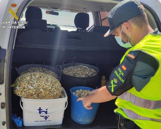 12 personas denunciadas en Ayamonte por recoger coquinas de manera ilegal