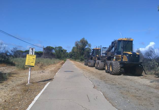 Los trabajos de rehabilitación de la zona del incendio de Mazagón destrozan el carril-bici