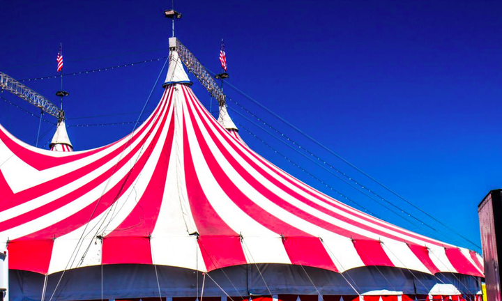 Ídolos del circo