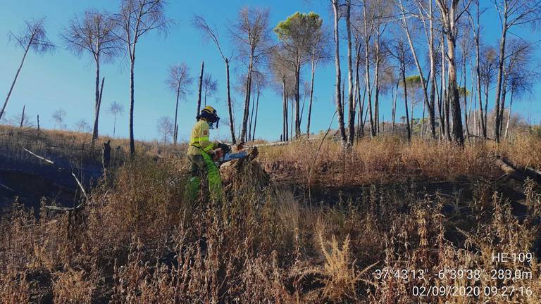 El Gobierno impulsa la recuperación de 1.200 hectáreas arrasadas en el incendio de Almonaster