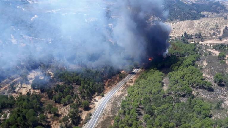 Crean un foro de participación para recuperar la zona del incendio de Almonaster