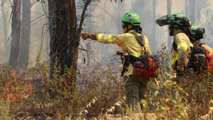 El Infoca da por extinguido el incendio de Almonaster
