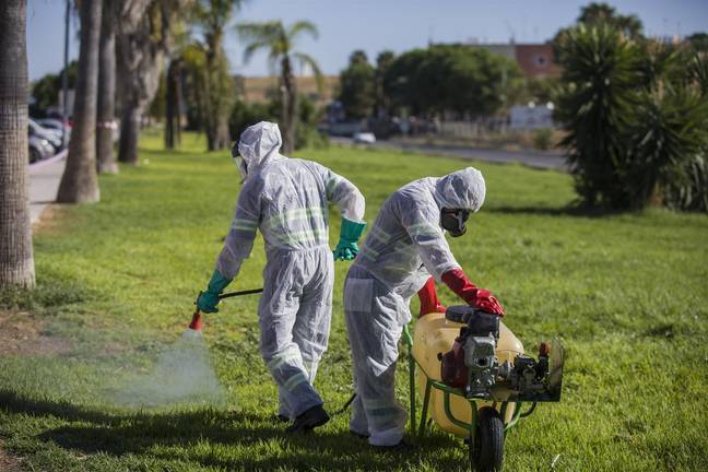 La fiebre del Nilo da el salto a Cádiz y acelera las medidas de prevención en Huelva