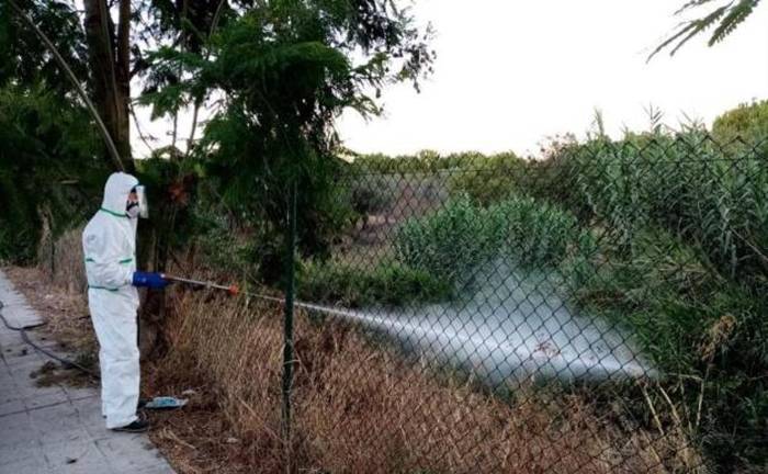 Detectan nuevos focos de contagio del virus de la fiebre del Nilo en Aljaraque, Cartaya y Villalba