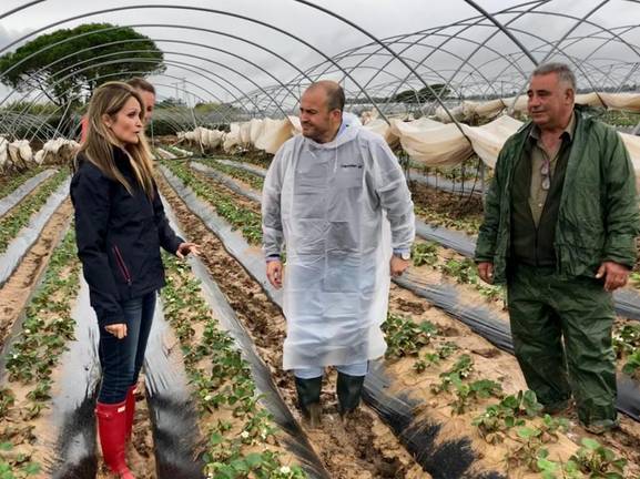Ciudadanos reclama una PAC justa para los agricultores onubenses