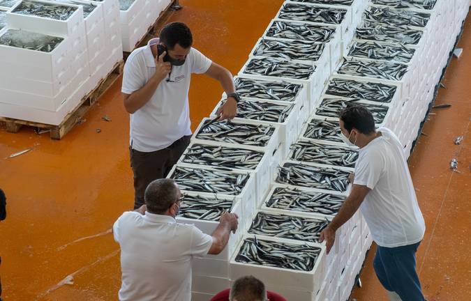 El sector pesquero recibe cerca de 62 millones para paliar los daños por el Covid