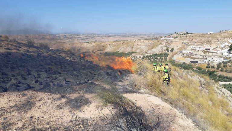 Extinguido el incendio forestal en el Paraje Pereriña, en Rosal de la Frontera
