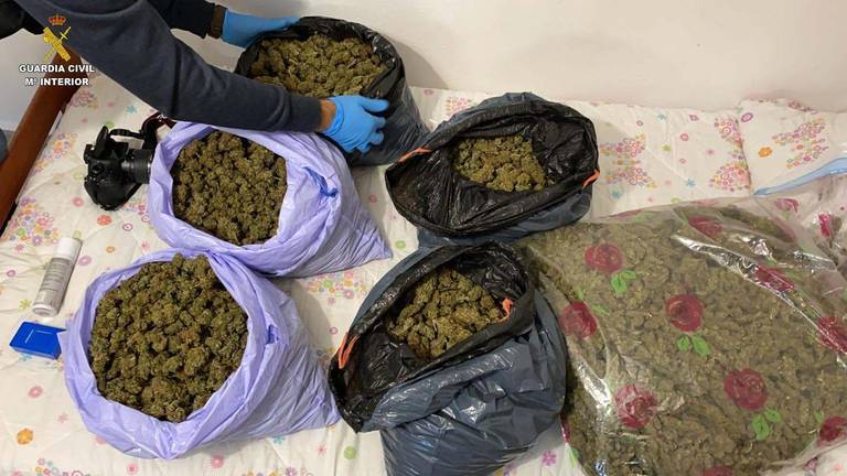 Cuatro detenidos por cultivo y venta de marihuana en Villablanca, La Redondela e Isla