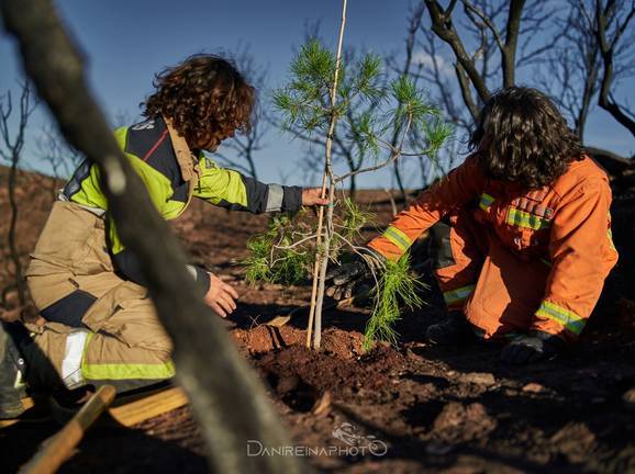 ‘Un árbol por Navidad’, la iniciativa de un bombero onubense para salvar la naturaleza