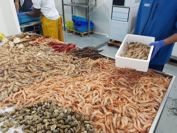 La venta de pescados y mariscos anticipada cae un 50% en la ‘Navidad del Covid’