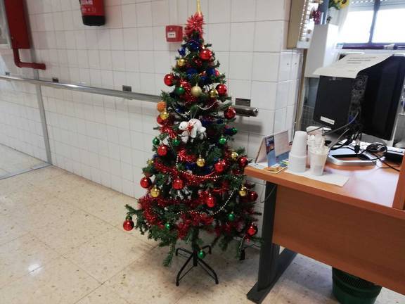 Los sanitarios del Infanta Elena decoran con ilusión su Navidad más atípica 3 Los sanitarios del Infanta Elena decoran con ilusión su Navidad más atípica